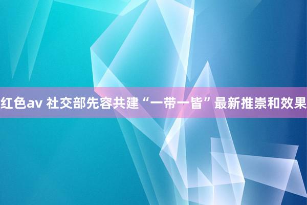 红色av 社交部先容共建“一带一皆”最新推崇和效果