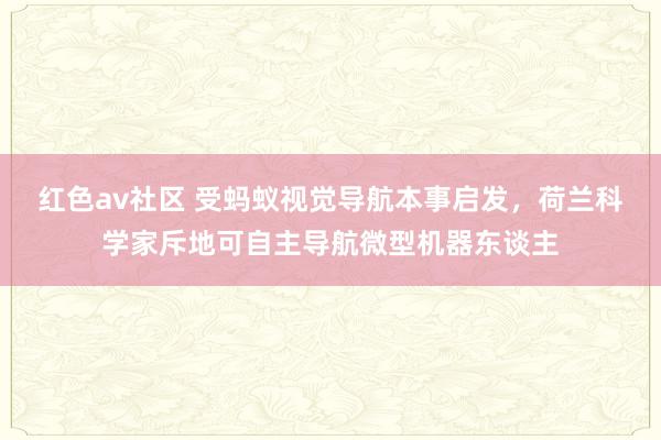 红色av社区 受蚂蚁视觉导航本事启发，荷兰科学家斥地可自主导航微型机器东谈主