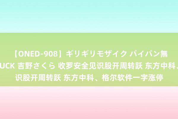 【ONED-908】ギリギリモザイク パイパン無限絶頂！激イカセFUCK 吉野さくら 收罗安全见识股开周转跃 东方中科、格尔软件一字涨停