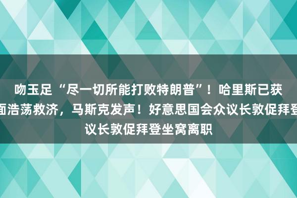 吻玉足 “尽一切所能打败特朗普”！哈里斯已获民主党里面浩荡救济，马斯克发声！好意思国会众议长敦促拜登坐窝离职