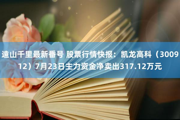 遠山千里最新番号 股票行情快报：凯龙高科（300912）7月23日主力资金净卖出317.12万元