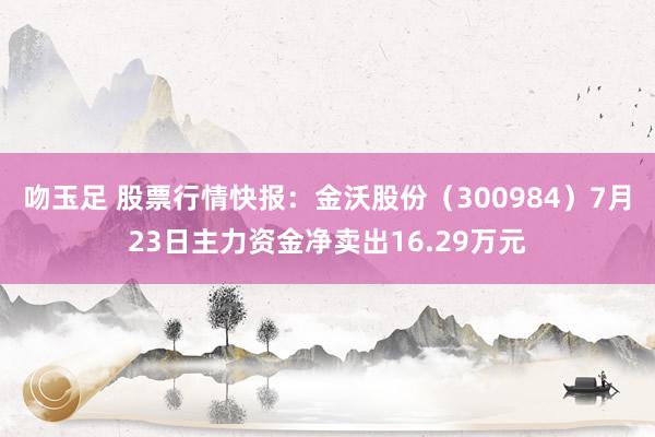 吻玉足 股票行情快报：金沃股份（300984）7月23日主力资金净卖出16.29万元