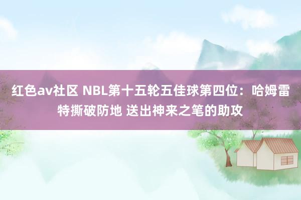 红色av社区 NBL第十五轮五佳球第四位：哈姆雷特撕破防地 送出神来之笔的助攻