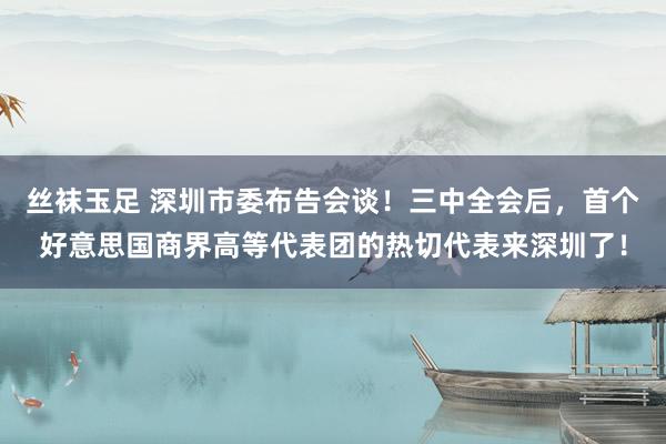 丝袜玉足 深圳市委布告会谈！三中全会后，首个好意思国商界高等代表团的热切代表来深圳了！