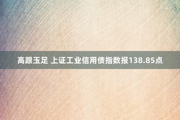 高跟玉足 上证工业信用债指数报138.85点