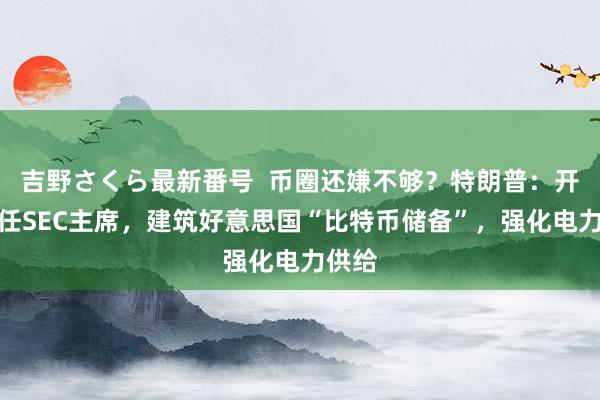 吉野さくら最新番号  币圈还嫌不够？特朗普：开掉现任SEC主席，建筑好意思国“比特币储备”，强化电力供给