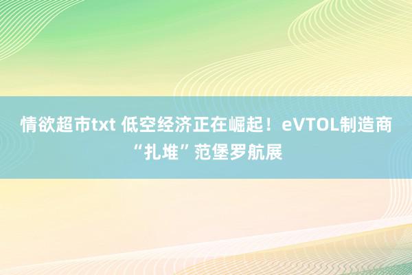 情欲超市txt 低空经济正在崛起！eVTOL制造商“扎堆”范堡罗航展