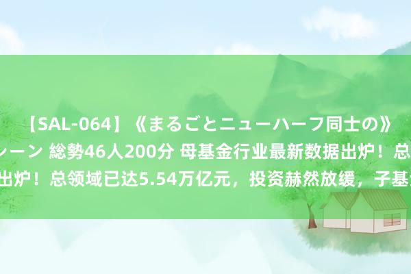 【SAL-064】《まるごとニューハーフ同士の》ペニクリフェラチオシーン 総勢46人200分 母基金行业最新数据出炉！总领域已达5.54万亿元，投资赫然放缓，子基金退出“不得不发”