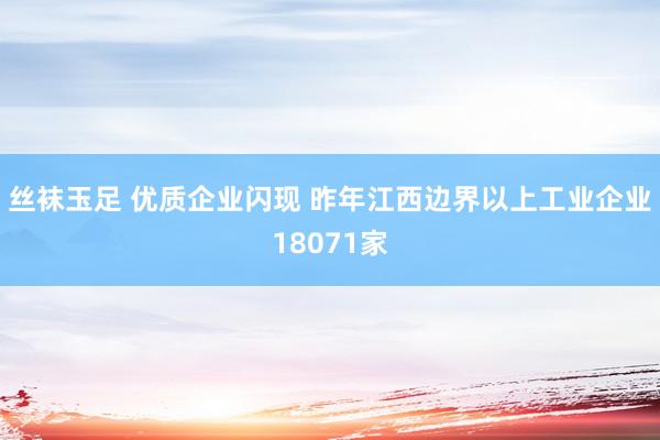 丝袜玉足 优质企业闪现 昨年江西边界以上工业企业18071家