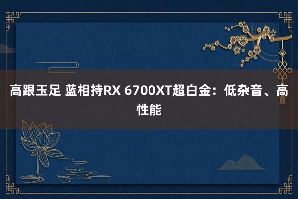 高跟玉足 蓝相持RX 6700XT超白金：低杂音、高性能