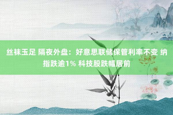 丝袜玉足 隔夜外盘：好意思联储保管利率不变 纳指跌逾1% 科技股跌幅居前