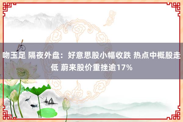 吻玉足 隔夜外盘：好意思股小幅收跌 热点中概股走低 蔚来股价重挫逾17%