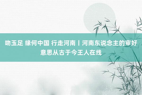 吻玉足 缘何中国 行走河南丨河南东说念主的审好意思从古于今王人在线