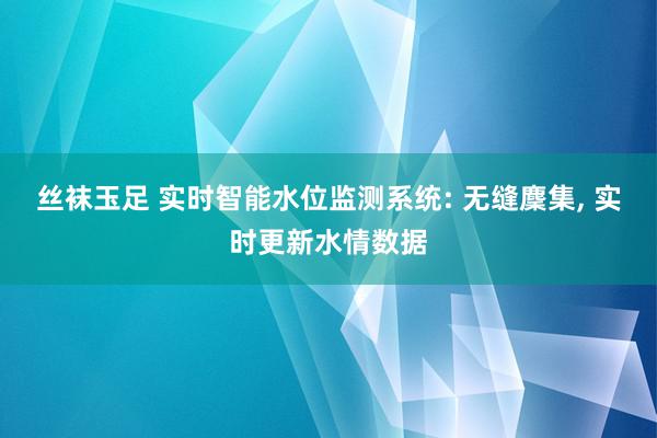 丝袜玉足 实时智能水位监测系统: 无缝麇集, 实时更新水情数据