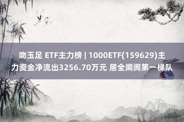 吻玉足 ETF主力榜 | 1000ETF(159629)主力资金净流出3256.70万元 居全阛阓第一梯队