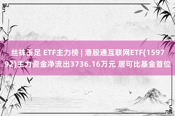 丝袜玉足 ETF主力榜 | 港股通互联网ETF(159792)主力资金净流出3736.16万元 居可比基金首位