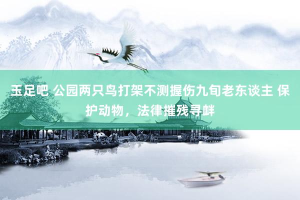 玉足吧 公园两只鸟打架不测握伤九旬老东谈主 保护动物，法律摧残寻衅