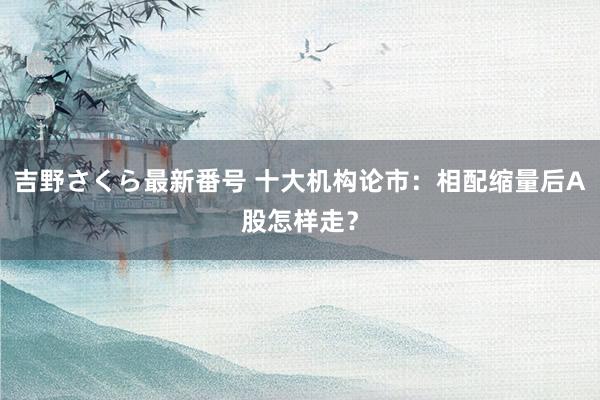 吉野さくら最新番号 十大机构论市：相配缩量后A股怎样走？