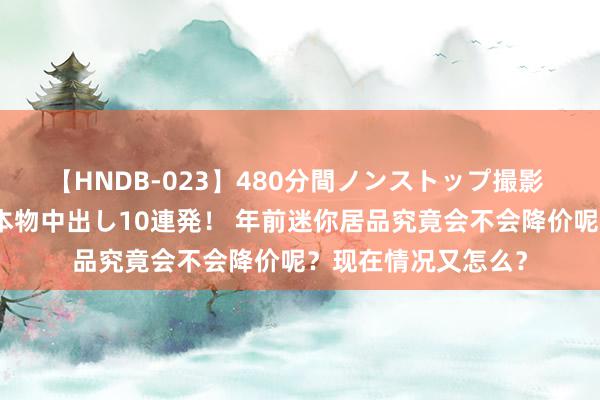 【HNDB-023】480分間ノンストップ撮影 ノーカット編集で本物中出し10連発！ 年前迷你居品究竟会不会降价呢？现在情况又怎么？