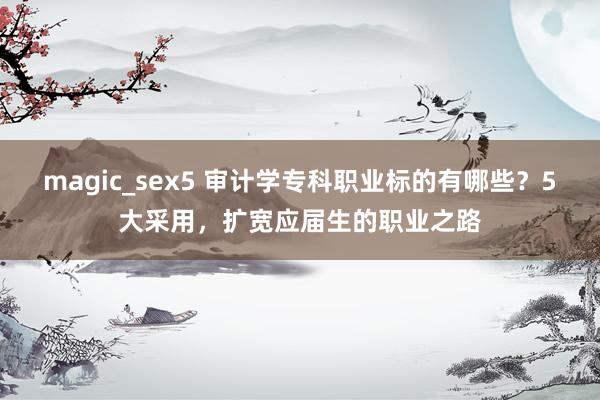 magic_sex5 审计学专科职业标的有哪些？5大采用，扩宽应届生的职业之路