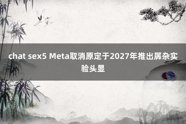 chat sex5 Meta取消原定于2027年推出羼杂实验头显