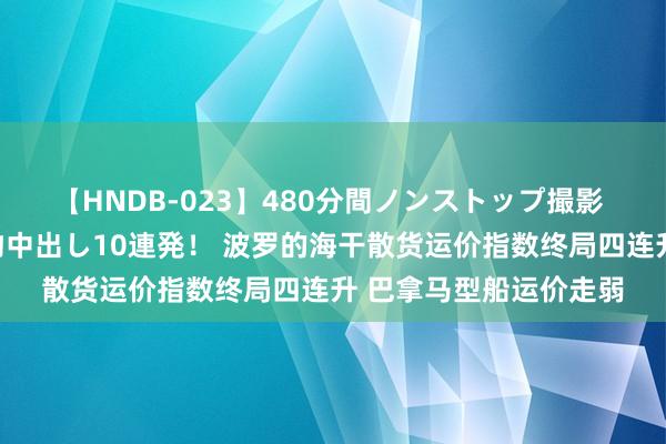 【HNDB-023】480分間ノンストップ撮影 ノーカット編集で本物中出し10連発！ 波罗的海干散货运价指数终局四连升 巴拿马型船运价走弱