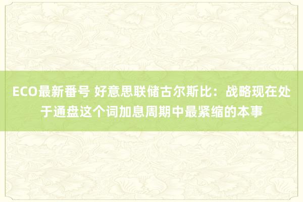 ECO最新番号 好意思联储古尔斯比：战略现在处于通盘这个词加息周期中最紧缩的本事