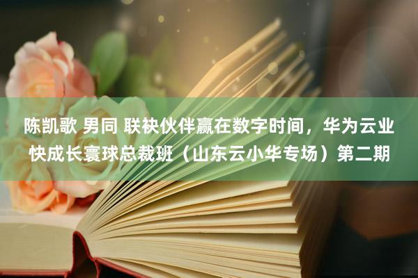 陈凯歌 男同 联袂伙伴赢在数字时间，华为云业快成长寰球总裁班（山东云小华专场）第二期