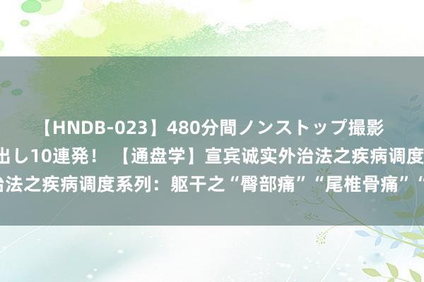 【HNDB-023】480分間ノンストップ撮影 ノーカット編集で本物中出し10連発！ 【通盘学】宣宾诚实外治法之疾病调度系列：躯干之“臀部痛”“尾椎骨痛”“骶骨正中痛”